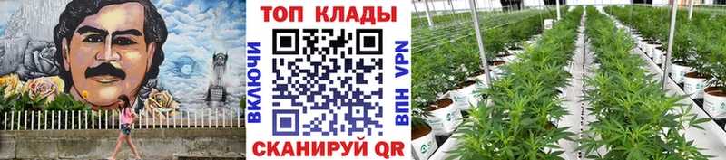 Наркота Ялуторовск Гашиш  Кокаин  A PVP  kraken рабочий сайт  Меф  Канабис 