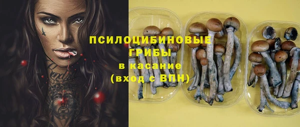 эйфоретик Абинск